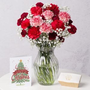 Christmas Cake Gift