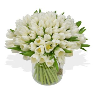 White Tulips