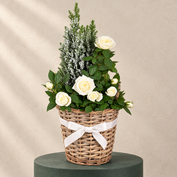 Winter Basket